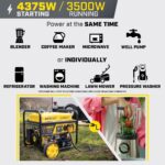 Champion Power Equipment 4375-Watt Gas Powered 49 State Wireless Remote Start RV Ready Portable Generator - Image 5