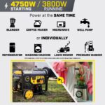 Champion Power Equipment 4750-Watt Electric Start Dual Fuel 50 State RV Ready Portable Generator CARB Compliant - Image 3